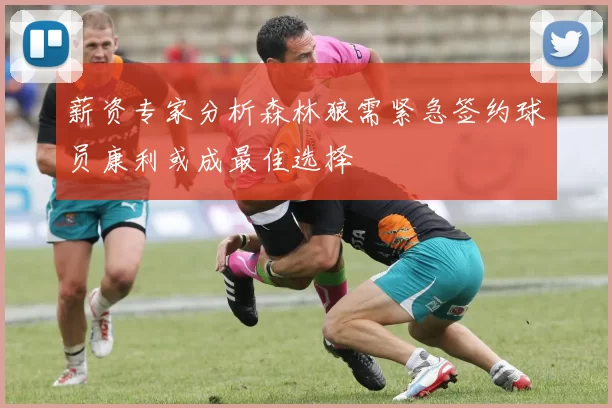 薪资专家分析森林狼需紧急签约球员康利或成最佳选择