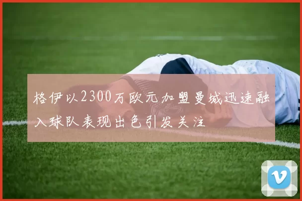 格伊以2300万欧元加盟曼城迅速融入球队表现出色引发关注
